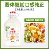 Molho de Mel e Mostarda Jinxin Molho para Frango Frito Coreano Molho de Mostarda Amarela Ketchup Molho para Salada Combo Uso Comercial Pacote de 2,5kg