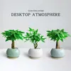 Árbol del Dinero Planta en Maceta Planta Verde de Escritorio para Decoración de Riqueza Oficina Bonsái Sala de Estar Interior Fácil de Cuidar Planta de Todas las Estaciones