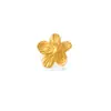 Dazan Em Estoque Titânio Banho de Ouro a Vácuo 18K Ins Brinco de Moda Conjunto Estilo Casual Oceano de Verão Ear Cuff