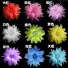 Flor de Cabeça Infantil Flor de Performance Acessórios de Cabelo Grampo de Cabelo Meninas Acessórios de Dança Dança Latina Dança de Salão Adorno de Cabeça