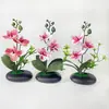 Estilo Luxo Leve 3 Flores 2 Folhas 1 Grama Phalaenopsis Flor Artificial Ornamento de Mesa ins Arranjo Floral de Alta Qualidade Ornamento Floral para Mesa de Jantar