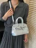 Bolso de Mano de Lujo Platino para Mujer 2026 Estilo Coreano de Moda Bolso de Hombro Único Diseño de Nicho Bolso Cruzado Casual para Mujer