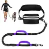 Novo conjunto de bolsa de cintura esportiva para corrida de animais de estimação transfronteiriça, coleira retrátil refletiva para passeios de cachorro ao ar livre, em estoque para atacado