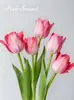 Tulipa 5 Graus Bulbo Perene Bulbo Grande Resistente ao Inverno Cultivo em Solo Planta Flor Hidropônica para Plantio em Jardim Externo