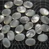 Acessórios de Joalheria Concha Não Porosa Concha Borboleta Borboleta Branca Oval Anel DIY Superfície Anel Profundo Mar Profundo Outras Pérolas