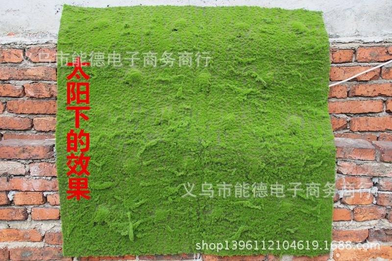 IMG_9334_副本_副本