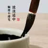 Tinta embotellada para Pintura y Caligrafía Tinta para Pintura en Tinta Caligrafía Entrenamiento Estudiantes Práctica Tinta 100g 250g Tinta para Sitio