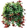 Planta de Hiedra en Maceta de una Pieza para Envío Directo, Orquídea Colgante para Purificación del Aire y Absorción de Formaldehído, Planta Verde Hidropónica Colgante para Interior y Balcón