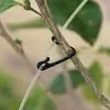 Clipes de gravata de galho de kiwi, clipes de gravata de videira de uva, fixadores de galho de fruta para mudas, ganchos de plástico para plantas trepadeiras