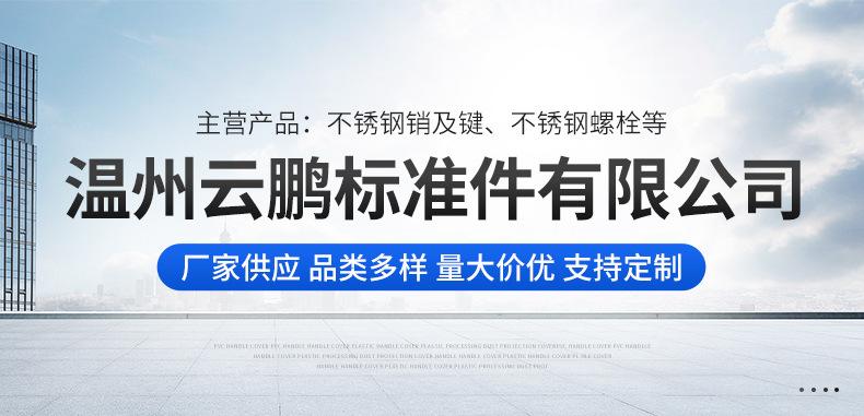 温州云鹏标准件有限公司-详情_01