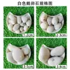 Lugar de Origen Cabello liso Piedras blancas Piedras blancas para jardinería plantas en maceta Piedras blancas para paisajismo de jardines secos