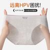 Ropa interior de Jacquard Algodón Puro 10A Antibacteriano Entrepierna de Algodón Puro Sin Costuras Transpirable Braguita de Mujer con Abertura Alta