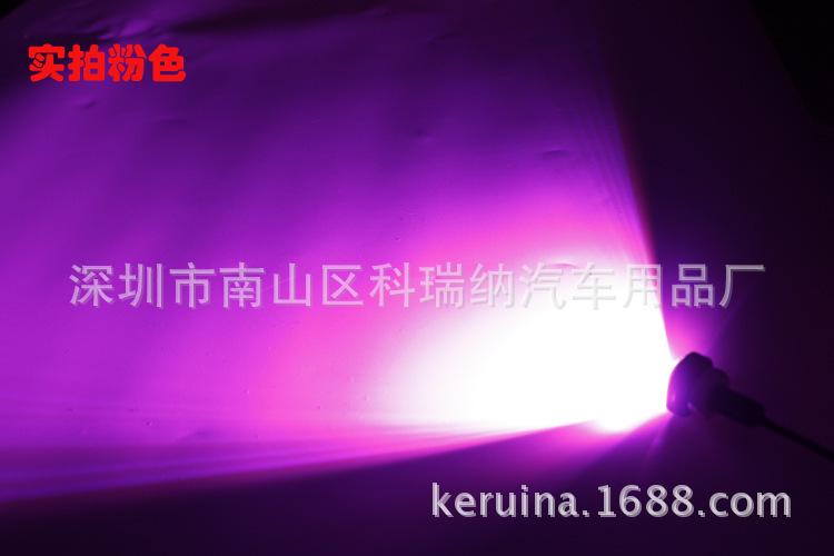 2784322516_1892264406