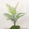 Simulación Mono Dorado de Nariz Chata Helecho Cabeza de Mono Helecho Planta Verde en Ramillete Paisaje en Miniatura Paisajismo Plantas de Helecho Grandes para Piso Decoración del Hogar