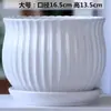 Maceta de Cerámica Tamaño Grande Oferta Especial Liquidación Interior Escritorio Balcón Suculenta Maceta Pequeña Clorofito Helecho Espárrago Maceta Simple Blanca