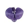 Flor artificial Phalaenopsis flor 3D de película cabeza de flor estilo ramillete regalo de mano LV Fu regalo DIY caja de regalo decoración de boda