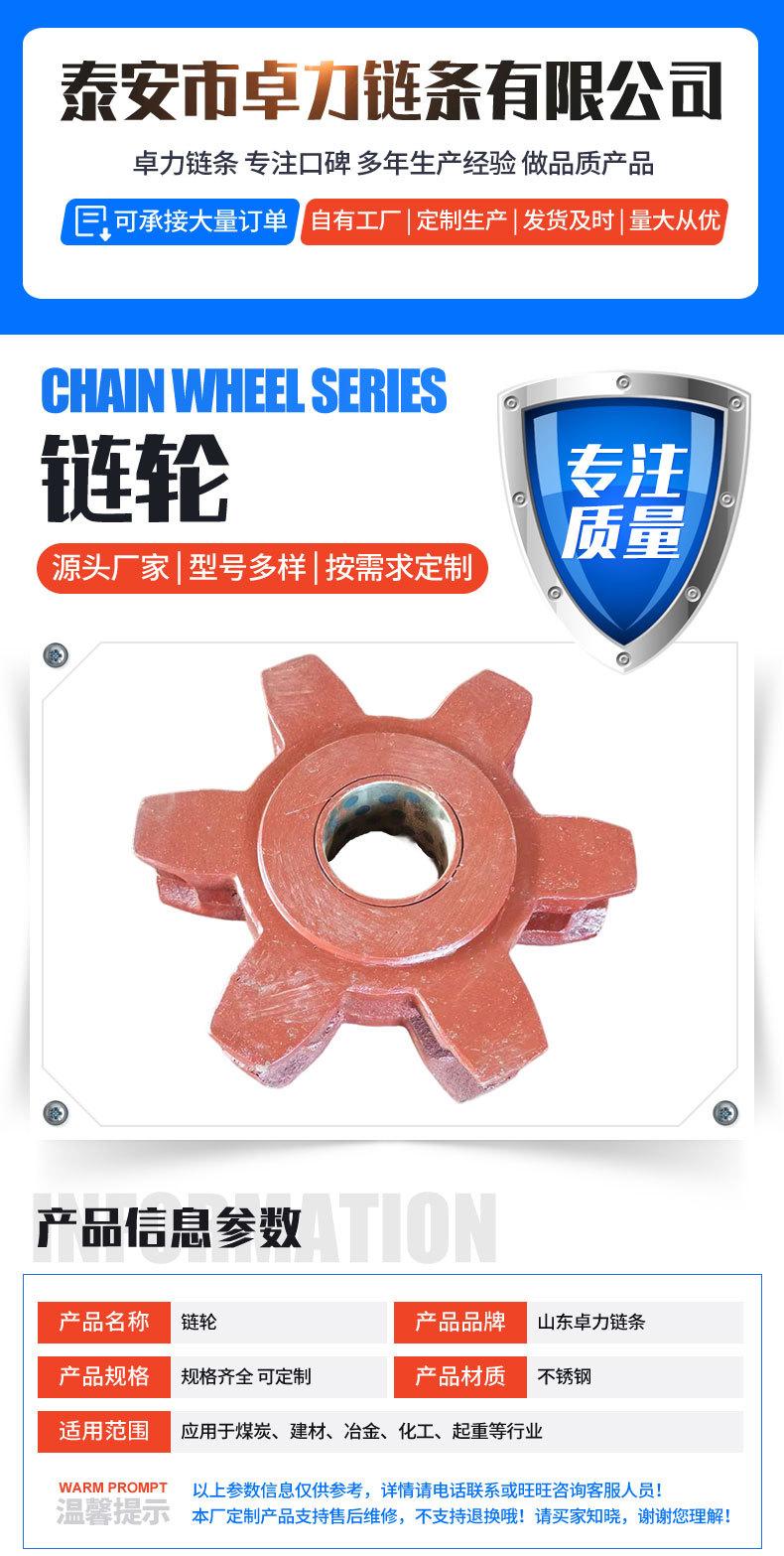 链轮_01.jpg