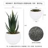 En stock Simulación Carnosa Garra de Águila Aloe Planta en Maceta Decoración de Escritorio Regalo Mini Planta Verde Bonsái TEMU Planta de Simulación