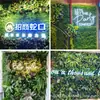 [Verde Verde] Decoração de Parede de Planta Verde Simulada Parede Sala de Estar Shopping Center Janela Paisagismo Interno e Externo