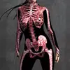 Nuevos Medias de Cosplay de Esqueleto para Mujer Europeas y Americanas de Halloween 2023 Mono Delgado Estampado 3D