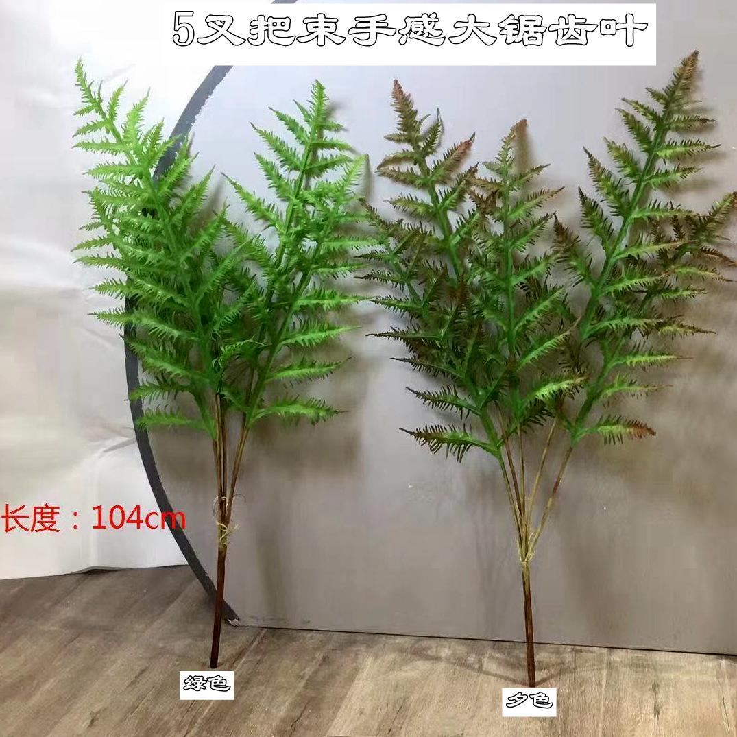 微信图片_20210630153022_副本_副本.jpg