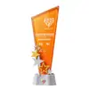 Troféu de premiação de fábrica, painel inclinado transparente colorido personalizado, estrela de cinco pontas para reunião anual, cúpula, reconhecimento, impressão e gravação personalizáveis