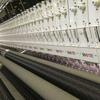 Guangdong Barata Eléctrica Usada Yiboda Máquina de Coser Ropa Bolsa Cuero Ropa de Cama Máquina de Coser Especial
