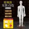 Modelo de Figura de Acupunto Medicina Tradicional China Puntos de Acupuntura del Cuerpo Humano Meridianos Persona Acupuntura Puede Insertar Agujas Doce Hoyuelos Pequeños Persona Diagrama de Todo el Cuerpo