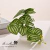 Simulación de planta verde, hoja de bonsái, decoración para el hogar, sala de estar, planta de flores falsas, decoración de escritorio, planta en maceta de simulación, decoración creativa