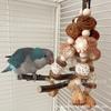 Juguetes para Loros: Juguetes de Cuerda para Masticar Pájaros, Bolas de Ratán, Piña, Madera de Manzano, Nueces, Mazorcas de Maíz, Juguetes para Romper y Destruir, Juguetes para Afilar el Pico