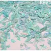 Madrepérola Laca Peças Finas de Concha de Abalone Nail Art Mosaico Pintura em Laca Peças de Madrepérola Material DIY Laca Incrustada Leidezhu
