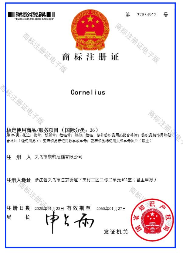 O1CN01ZIvulY1SsooOSUlAJ_!!2979