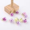Sonho Flor Seca Violeta Flor Eterna Transparente Vidro Bolha Bola Pingente DIY Jóias Artesanais Brincos Material
