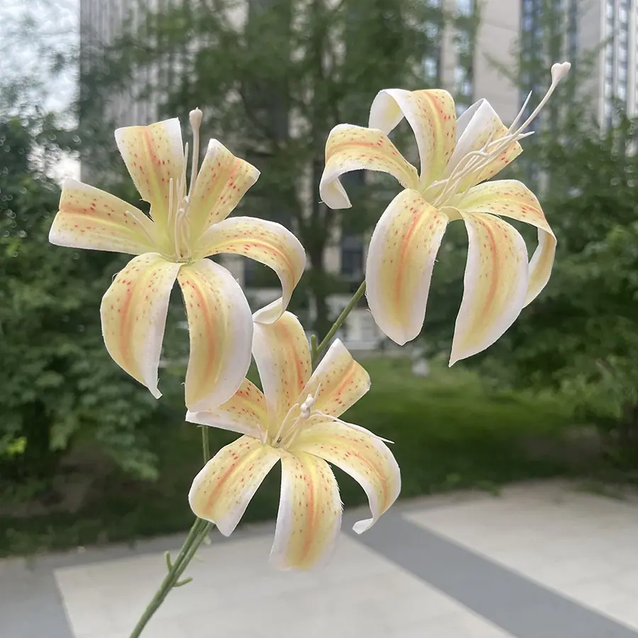 3头铸筋金玉百合-黄色.JPG
