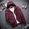 Liquidación de fin de temporada Pedido original de comercio exterior alemán Algodón plumón Ultraligero Algodón talla grande Hombre Primavera Algodón ligero