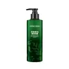 Shampoo Ant Queda Personalizado Oem, Shampoo Fofo Controle de Oleosidade, Shampoo Fixador de Cabelo Folha de Platycladus, Processamento Oem