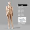Manequim de Loja de Roupas Adereços Manequins Masculinos e Femininos Estilo Tom de Pele com Base Corpo Inteiro Manequim Humano Suporte Adereços de Exibição