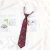 Corbata Rayada Rojo Vino para Mujer, Estilo Japonés, Estilo jk, Estilo Preppy, Persona Perezosa, Foto sin Trabajar, Material Escolar, dk Corto Marrón Hombre