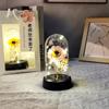 Abajur mini de plástico transfronteiriço luz noturna decoração presente Dia das Mães luminoso Céu Estrelado flor seca flor de sabão rosa