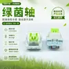 En stock al por mayor transfronterizo eje Greenfield lineal de cinco pines interruptores de teclado mecánico personalizables intercambiables en caliente con sonido mahjong HIFI