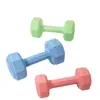 Venta al por mayor del fabricante de mancuernas de colores para mujeres y adolescentes para hacer ejercicio y tonificar sus brazos, mancuernas pequeñas y pesas rusas para entrenamiento deportivo