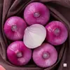Cebolas de Pele Roxa, Doces e Frescas, Adequadas para Comer Cruas, Cebolas Fruta e Legume, Não Picantes, Especialidade da Fazenda, Caixa Inteira de 4,5kg com Frete Grátis