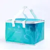 Bolsa de Aluminio Aislante y Conservadora de Frescura para Pasteles para Llevar de Gran Capacidad Bolsa de Entrega para Llevar Bolsa de Almacenamiento Portátil Engrosada