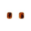Pendientes de resina para mujer, diseño de nicho, pendientes de color marrón ámbar de alta calidad, pendientes retro elegantes, ligeros y de lujo, de moda.