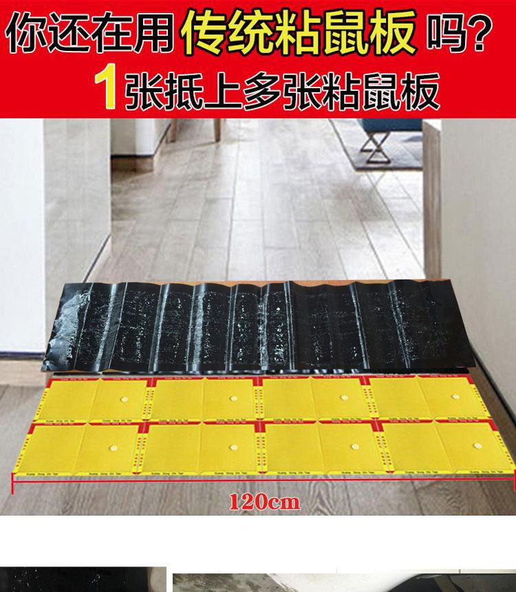 zhanshu_02.jpg