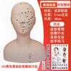 . Salão de beleza exercícios técnica de massagem de acuponto facial modelo de cabeça de manequim cabeça careca modelo com modelo de gerenciamento de pele do ombro