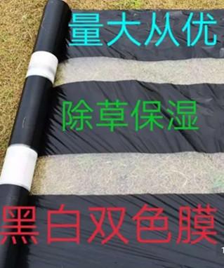 微信图片_20200929114105_副本