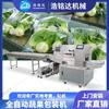 Máquina envasadora automática de vegetales Máquina envasadora de vegetales de hoja verde Máquina envasadora de frutas y vegetales frescos Máquina envasadora de vegetales baby tipo almohada