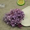 Flor Eterna Anna, 5g DIY Cúpula de Vidro com Flores Estilo Ins Flor Seca Porta-Retrato com Flores Garrafa dos Desejos