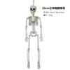 Esqueleto de simulación de Halloween, colgante decorativo, esqueleto de cráneo humano de plástico, articulación de pie, esqueleto móvil